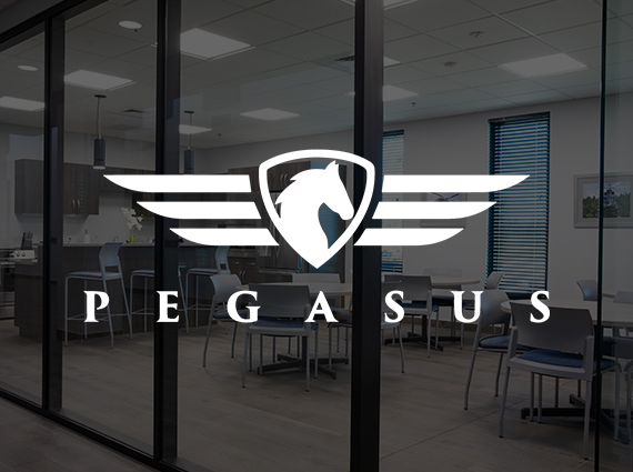 pegasus-cover
