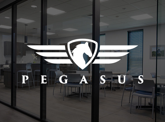 pegasus-cover